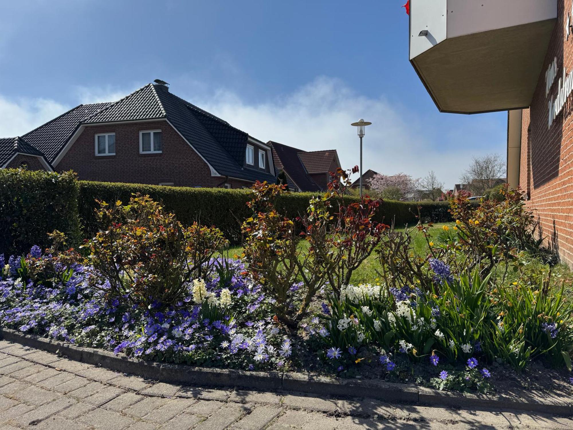 Haus Nordstrand Büsum Rum bild