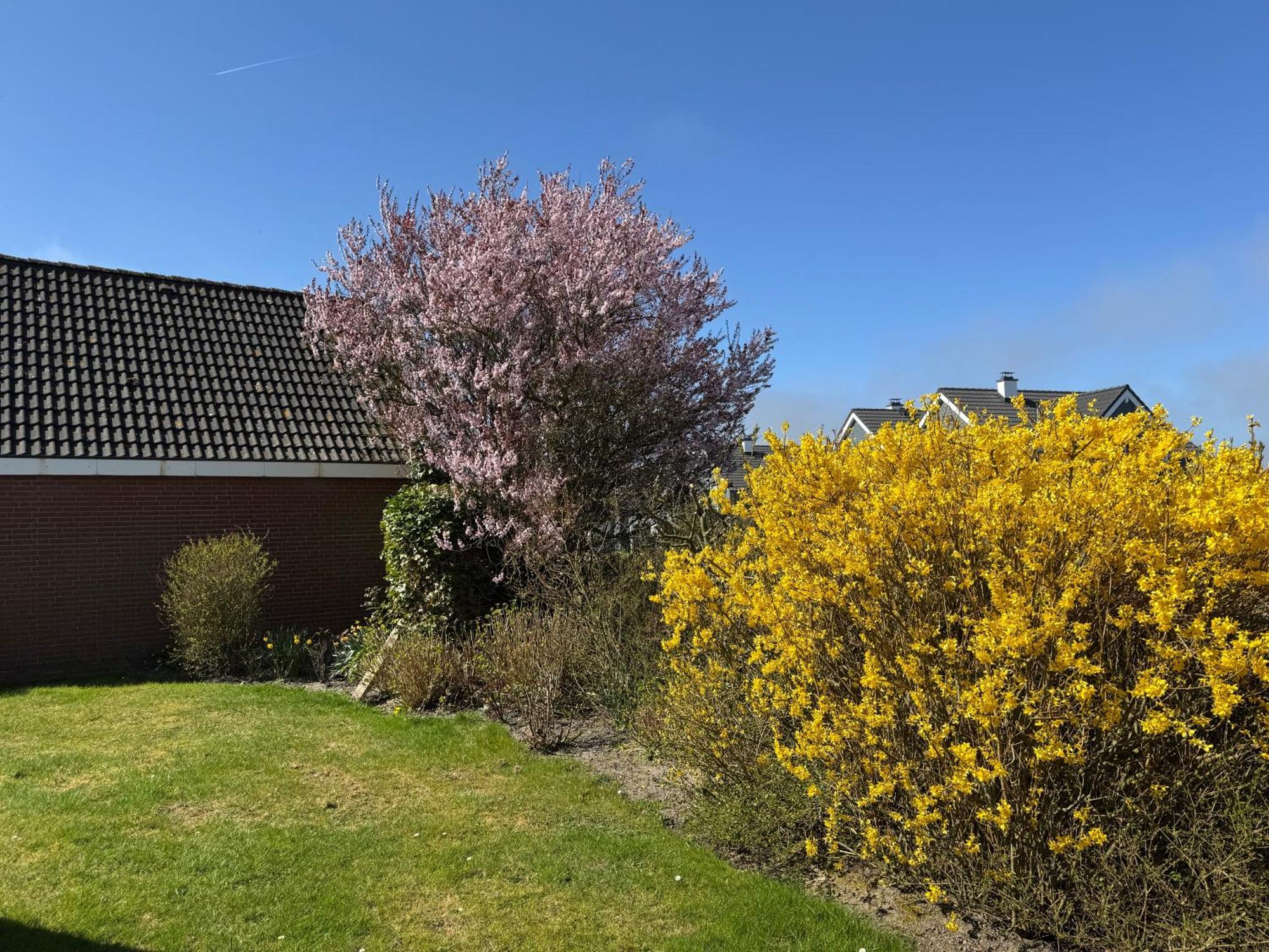 Haus Nordstrand Büsum Rum bild