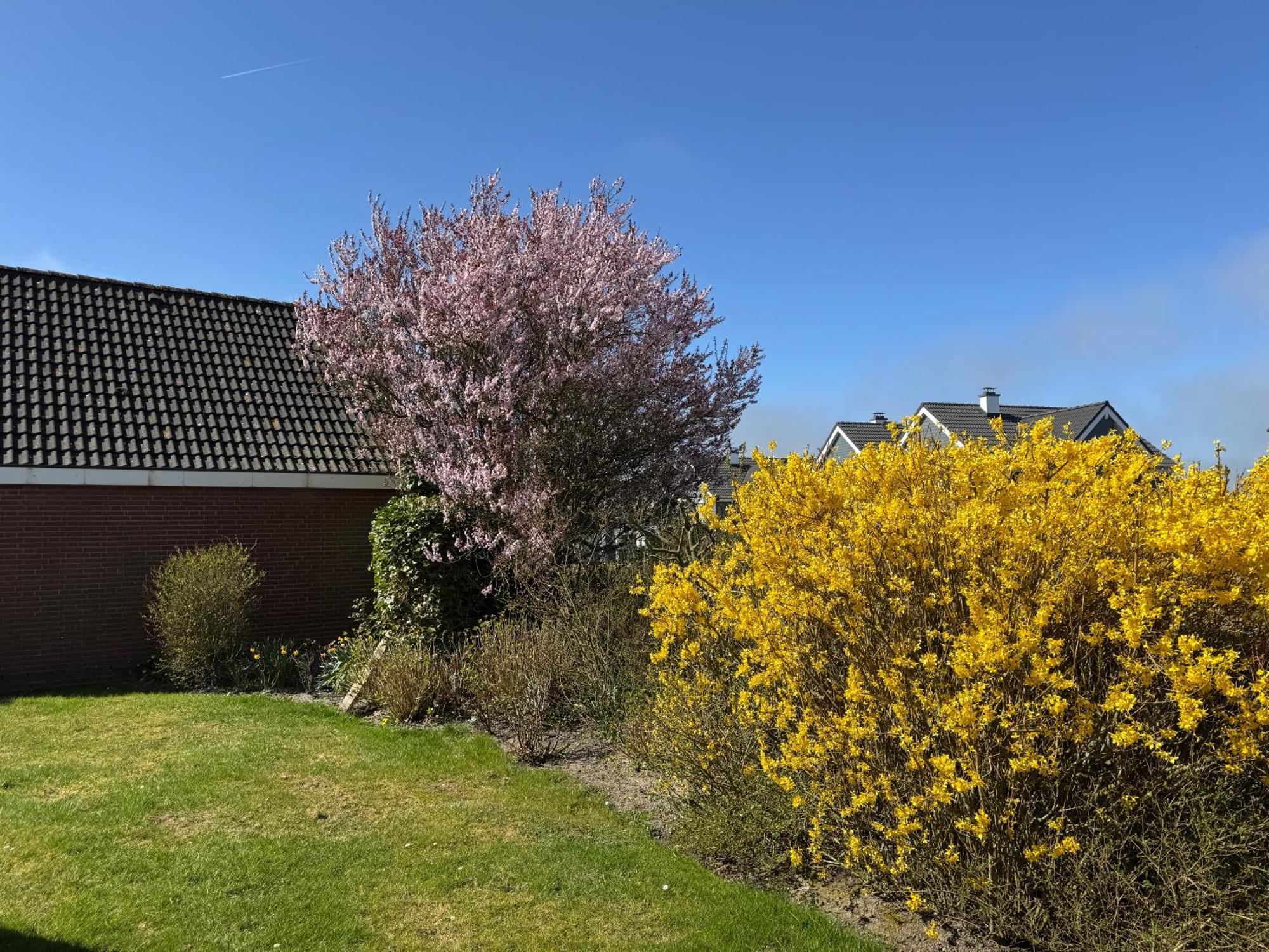 Haus Nordstrand Büsum Exteriör bild